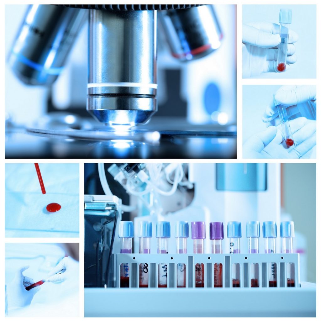 Diagnostic Testing Wailuku Pet Clinic