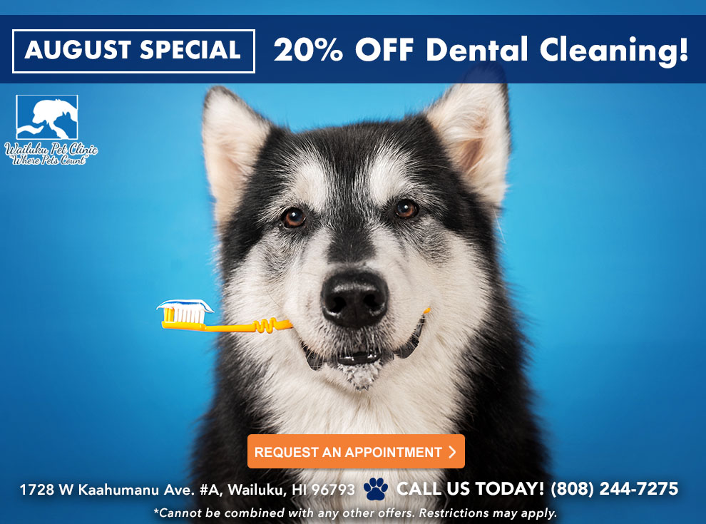 Veterinarian in Wailuku, HI Wailuku Pet Clinic