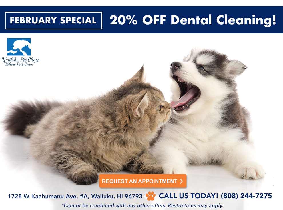 Veterinarian in Wailuku, HI Wailuku Pet Clinic