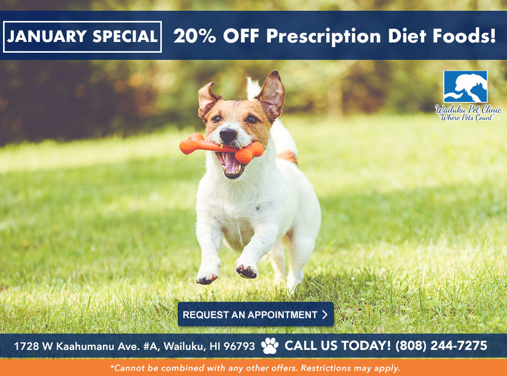 Veterinarian in Wailuku, HI Wailuku Pet Clinic