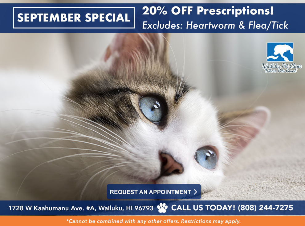 Veterinarian in Wailuku, HI Wailuku Pet Clinic