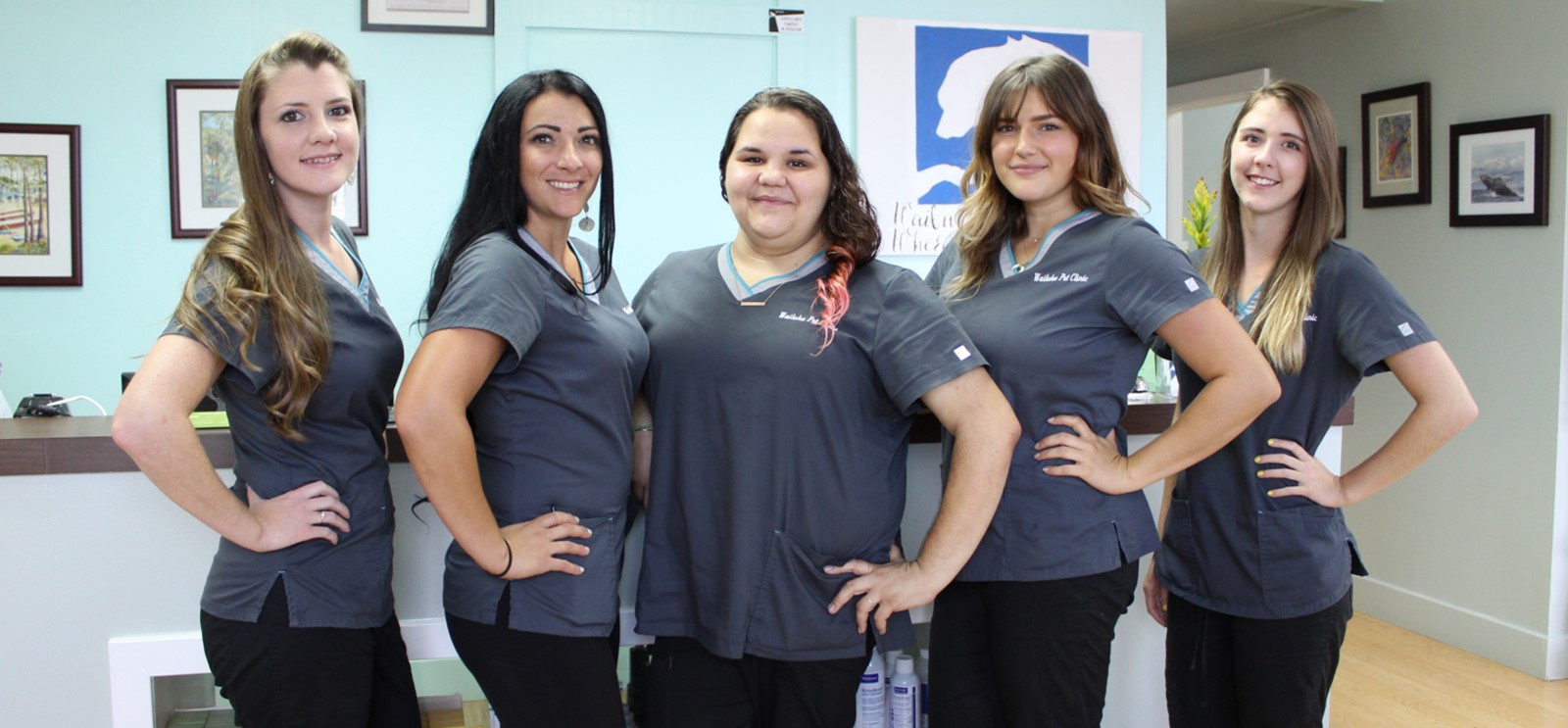 Veterinarian in Wailuku, HI Wailuku Pet Clinic